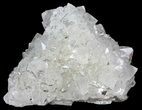 Quartz and Pyrite Crystal Association - Morocco #61419-1